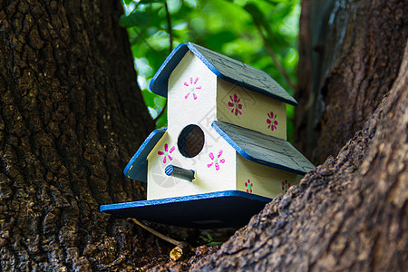 春天 在树干上涂有鸟的手工造房树屋爱好绿色房子构造野生动物盒子工艺森林动物背景图片