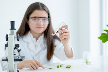 主要关注年轻的白人科学家女孩的手 用镊子将芦荟展示片放在相机前 她坐在实验室或教室的显微镜附近图片