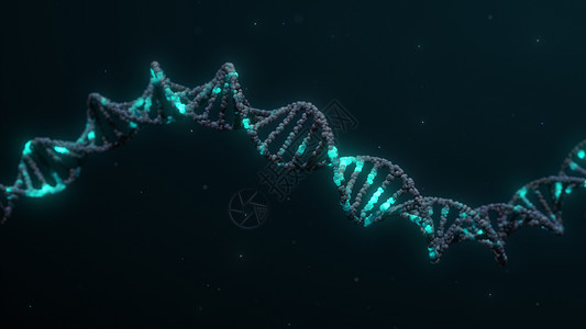 双螺旋 3D 脱氧核糖核酸实验室生物环形染色体测试遗传基因组科学代码生物学图片