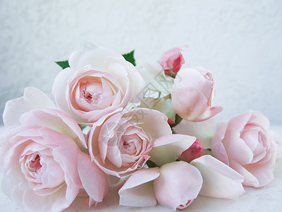 美丽的粉红色玫瑰花团玫瑰花瓣植物粉色白色花束婚礼图片