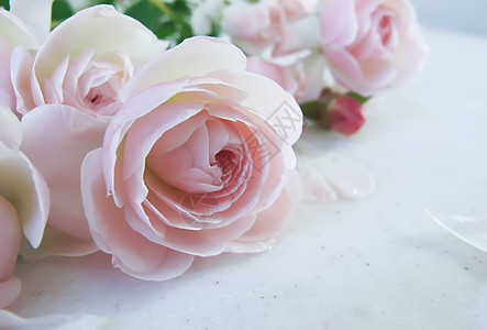 美丽的粉红色玫瑰花团花瓣植物花束玫瑰婚礼白色粉色图片
