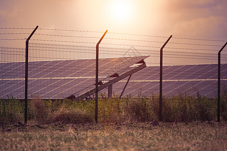 阳光明媚的一天 在田地中间的太阳能电池板上 乌克兰植物环境细胞蓝色发电机创新技术栅栏电气活力图片