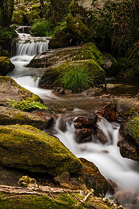 葡萄牙Gresso河中美丽的水流石头岩石溪流小路天堂环境公园森林悬崖场景图片