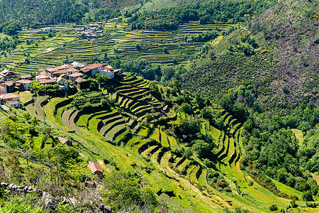 Sistelo的梯田观察人行道山坡房子环境石头山脉旅行踪迹种植园农村图片