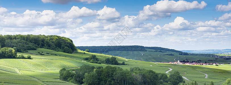 在法国乡下滚动的山丘中 夏季Reims以南爬坡季节旅游天空旅行酒厂全景农业藤蔓植被图片