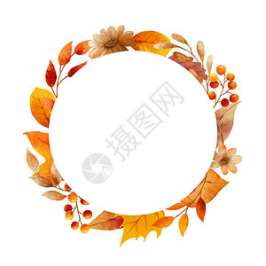 秋叶水彩画框和边框插图植物群边界植物学黄色植物季节性棕色圆框季节图片
