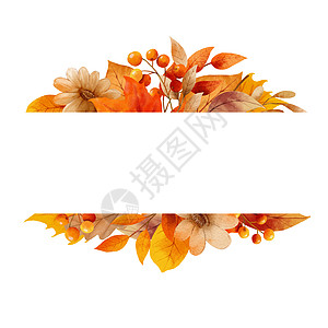 秋天边框秋叶水彩画框和边框植物插图季节黄色艺术框架边界棕色季节性植物学背景