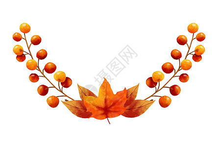 秋叶水彩画框和边框植物群橙子黄色植物叶子艺术季节性植物学季节红色图片