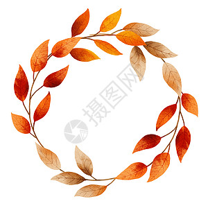秋叶水彩画框和边框黄色橙子叶子季节植物群边界红色季节性植物圆框图片