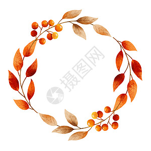 秋叶水彩画框和边框季节棕色插图植物红色黄色圆框边界植物学橙子图片