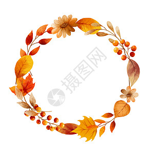 秋叶水彩画框和边框棕色植物边界红色季节植物学季节性框架圆框橙子图片