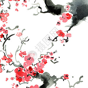 浅草树花草图文化樱花艺术插图花园黑色刷子白色墨水图片