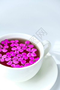 现代静物与粉红色的花朵在白色背景的茶杯中 复制空间 假日或婚礼背景 简约风格 女性早餐 时尚博主 凉茶木板叶子芳香杯子单宁咖啡店图片