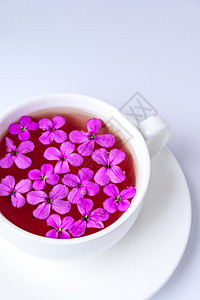 现代静物与粉红色的花朵在白色背景的茶杯中 复制空间 假日或婚礼背景 简约风格 女性早餐 时尚博主 凉茶杯子花束叶子飞碟草本植物香图片