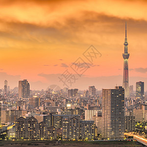 日落时东京市天际景观观光场景公园旅行天空天线江户地标市中心图片