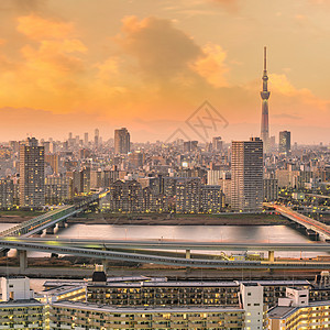 日落时东京市天际桥梁建筑物天线景观城市病房地标场景商业市中心图片