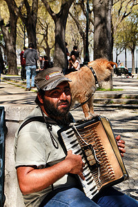 乞丐和他的狗一起玩手风琴城市赚钱演奏家尊严孤独乐器依赖贫困机构人行道图片
