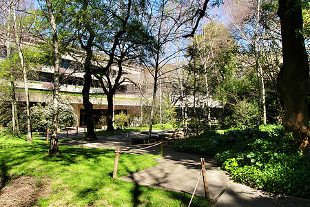 里斯本Gulbenkian博物馆美丽的花园建筑师建筑旅行竹子日光公园建筑学旅游房子城市图片