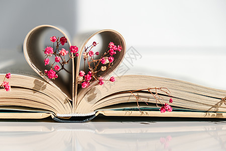 书页折叠成心形和粉红色的花朵 柔焦 故意轻微模糊 精致的粉红色满天星花 慢生活理念 与自然合一 爱装饰页数木头文学呼吸假期诗歌阅图片