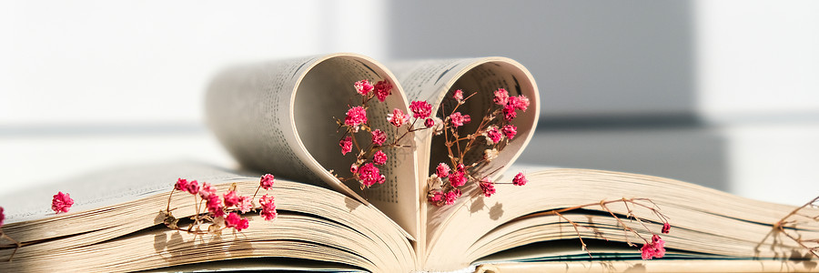 书页折叠成心形和粉红色的花朵 柔焦 故意轻微模糊 精致的粉红色满天星花 慢生活理念 与自然合一 爱教育文学诗歌木头呼吸风格庆典阅图片