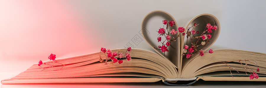 书页折叠成心形和粉红色的花朵 柔焦 故意轻微模糊 精致的粉红色满天星花 慢生活理念 与自然合一 爱诗歌庆典情绪风格假期阅读页数文图片