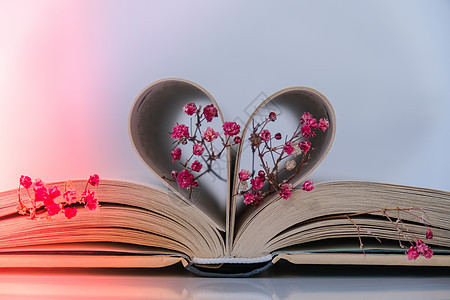 书页折叠成心形和粉红色的花朵 柔焦 故意轻微模糊 精致的粉红色满天星花 慢生活理念 与自然合一 爱阅读页数庆典情绪装饰文学假期诗图片