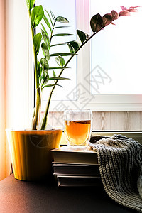 窗台上有一杯加柠檬的热茶 在一堆书上 蒸汽从杯子里涌出来 绿色植物的黄花盆湿气阳光植物太阳静物液体饮料叶子窗户教育图片