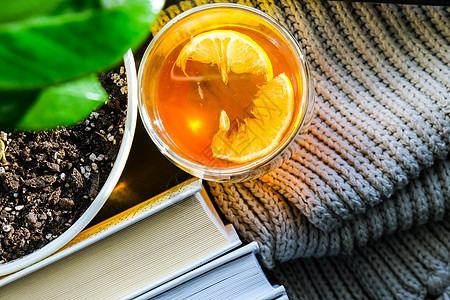 一大堆书上加柠檬的热茶 蒸汽从杯子里涌出来 绿色植物的黄花盆季节教育窗台阳光静物湿气香气太阳饮料图书图片