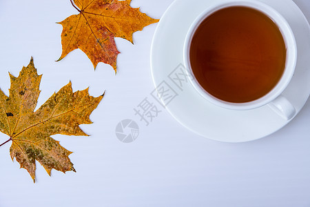 白色背景的茶杯和干木瓜叶 美丽的秋天成份 舒适的家庭潮湿 季节性 早茶 星期日放松和静止生活概念早餐乡村咖啡店季节叶子饮料湿气咖图片