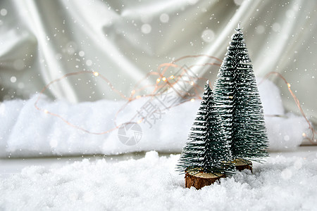 香槟色丝绸背景和白雪上的两棵圣诞树 时尚的装饰 圣诞假期庆祝活动 新年概念 问候卡海浪面料礼物季节卡片真丝风格庆典传统松树图片