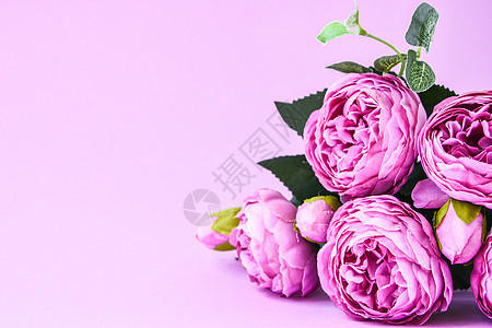 粉红色背景上的牡丹 复制空间 横幅 婚礼假期的概念 美丽的粉红色牡丹 花卉组成 问候卡艺术温泉香气卡片紫色花束明信片花瓣纪念日墙图片