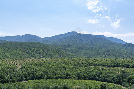 在从空中发出的翠绿的山岳上蓝色远足环境绿色植物风景爬坡天线天空全景叶子图片