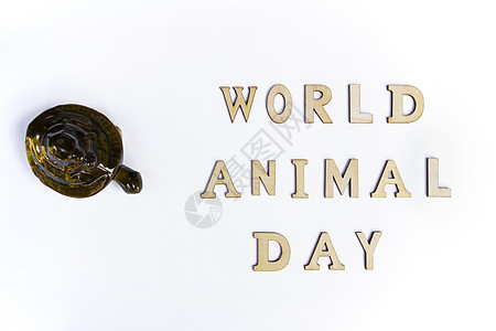 世界动物日概念与海龟图片