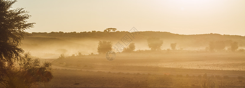 南非Kgalagadi跨界公园的尘土日落场景摄影沙漠生物保护区气候自然保护区野性旅游跨境气氛图片