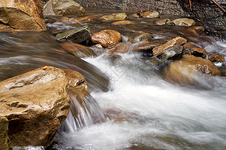 山河 含模糊水的河流紧闭岩石运动场景森林浅滩风景环境石头流动自然图片