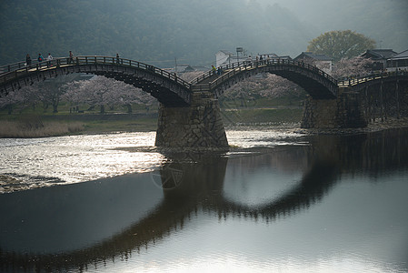 岩国樱花锦带风景历史性旅行地标建筑学粉色途径灯笼图片