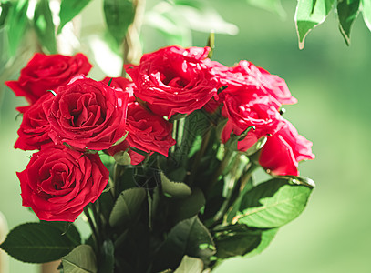 盛红玫瑰的包束 作为花香节日礼物 美丽的鲜鲜花园花当家居装饰品妻子温泉展示女士邀请函装饰植物魅力太阳风格图片