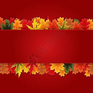 秋天自然叶子背景 它制作图案矢量季节感恩圆圈插图植物亮度金子绘画庆祝框架图片