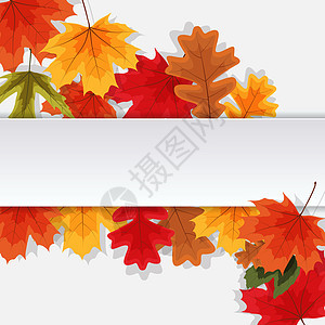 秋天自然叶子背景 它制作图案矢量插图绘画植物感恩活动艺术销售季节横幅金子图片