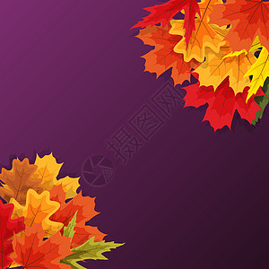 秋天自然叶子背景 它制作图案矢量橙子圆圈亮度魔法季节框架庆祝插图金子活动图片