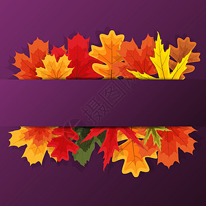 秋天自然叶子背景 它制作图案矢量庆祝季节亮度植物感恩魔法活动框架金子圆圈图片
