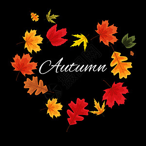 秋天自然叶子背景 它制作图案矢量金子魔法绘画季节植物橙子庆祝活动亮度框架图片