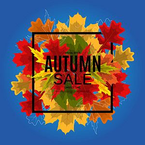 闪亮的秋叶销售横幅 商业折扣卡 它制作图案矢量橙子叶子季节卡片插图庆祝植物绘画感恩活动图片