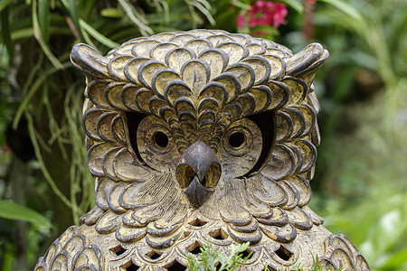 猫头鹰在自然背景上的雕像 氩气装饰品礼物玩具木头石头荒野艺术动物公园植物图片