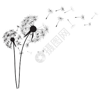 摘要 dandelion 背景矢量插图艺术绘画力量草地花朵飞行植物学生活音乐场景图片