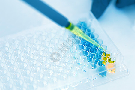 实验室工人将液体添加到测试管化学品技术管子医疗科学家塑料小瓶生物生物学测量图片