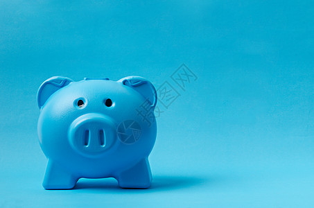 蓝猪银行利润财富安全玩具退休成功储蓄投资金子基金图片
