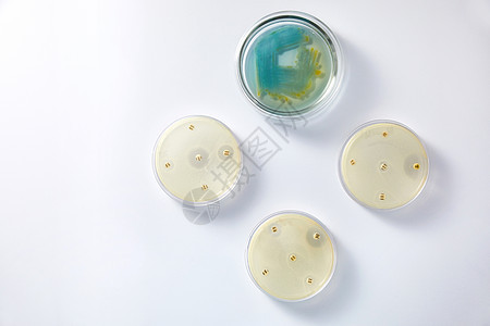 微生物实验室与各种细菌样本药品文化科学家化学实验琼脂生物制药学习显微镜图片