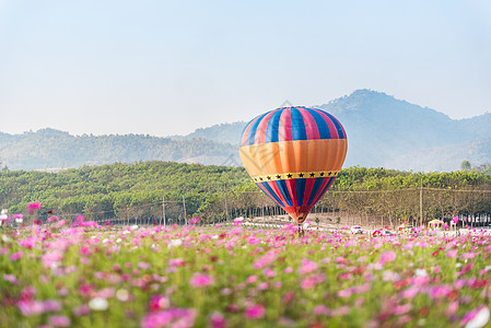 在宇宙花朵田上漂浮的热气球节日热气假期日落旅游旅行运输运动池塘天空图片