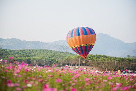 在宇宙花朵田上漂浮的热气球反射飞行游客热气蓝色旅游运输假期节日日落图片